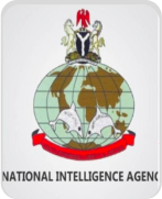 National Intelligence Agency